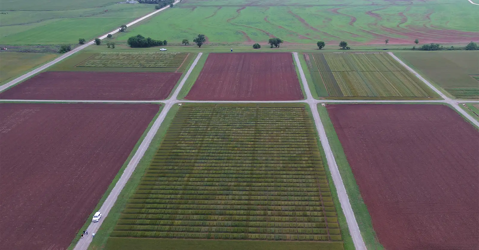 Oklahoma State Field Day
